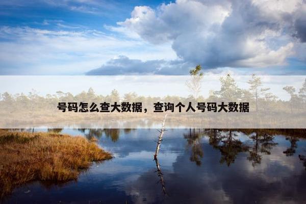 号码怎么查大数据，查询个人号码大数据