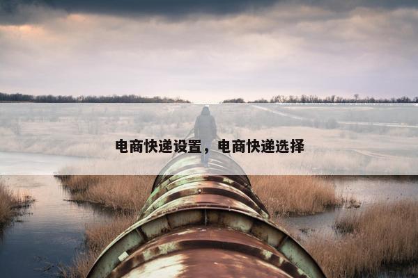 电商快递设置，电商快递选择