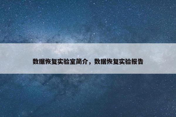 数据恢复实验室简介，数据恢复实验报告