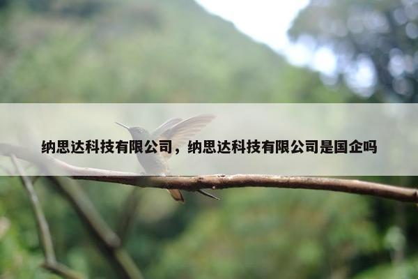 纳思达科技有限公司，纳思达科技有限公司是国企吗