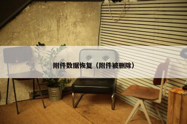 附件数据恢复（附件被删除）