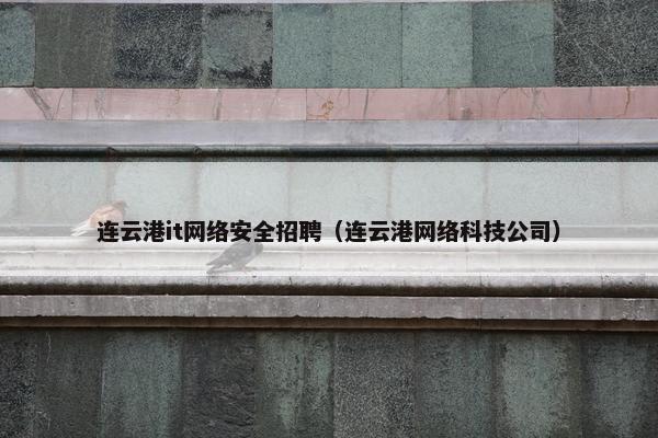 连云港it网络安全招聘（连云港网络科技公司）