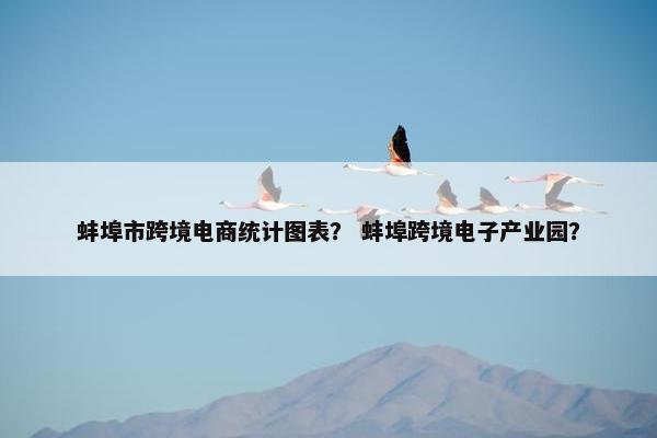 蚌埠市跨境电商统计图表？ 蚌埠跨境电子产业园？
