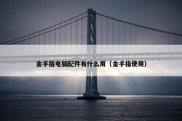 金手指电脑配件有什么用（金手指使用）