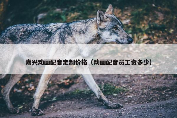 嘉兴动画配音定制价格（动画配音员工资多少）