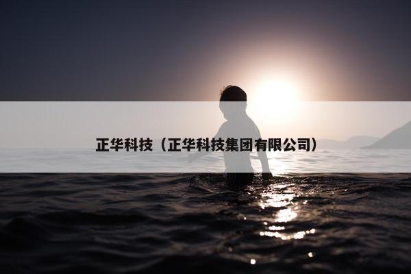 正华科技（正华科技集团有限公司）