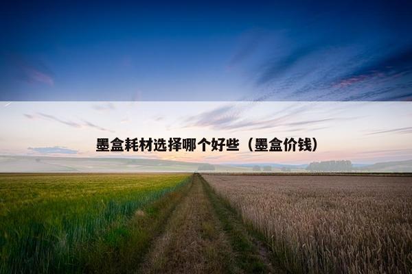 墨盒耗材选择哪个好些（墨盒价钱）