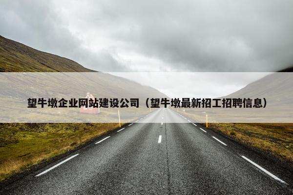 望牛墩企业网站建设公司（望牛墩最新招工招聘信息）
