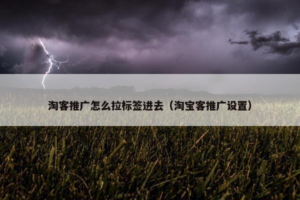 淘客推广怎么拉标签进去（淘宝客推广设置）