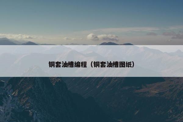 铜套油槽编程（铜套油槽图纸）