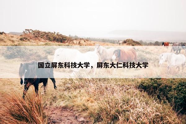 国立屏东科技大学，屏东大仁科技大学