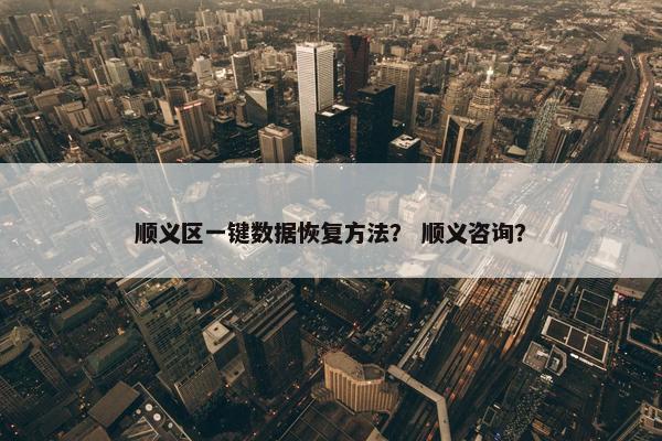 顺义区一键数据恢复方法？ 顺义咨询？