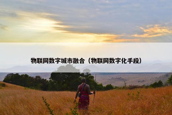 物联网数字城市融合（物联网数字化手段）