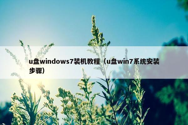 u盘windows7装机教程（u盘win7系统安装步骤）
