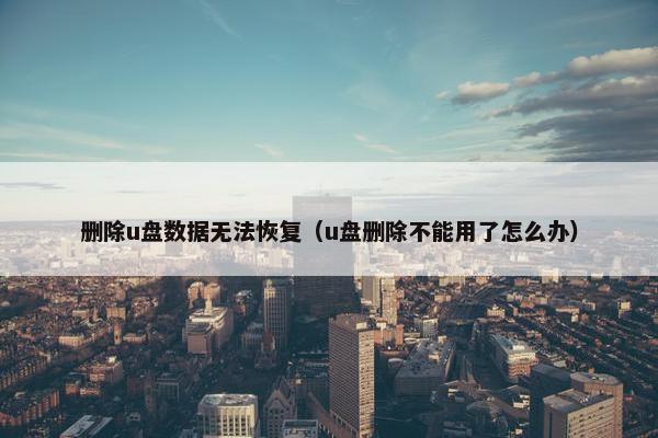 删除u盘数据无法恢复（u盘删除不能用了怎么办）