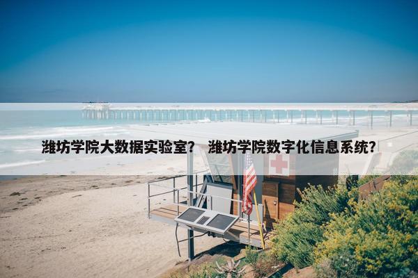 潍坊学院大数据实验室？ 潍坊学院数字化信息系统？