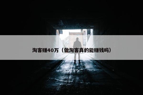 淘客赚40万（做淘客真的能赚钱吗）