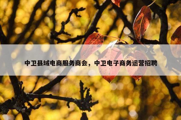 中卫县域电商服务商会，中卫电子商务运营招聘