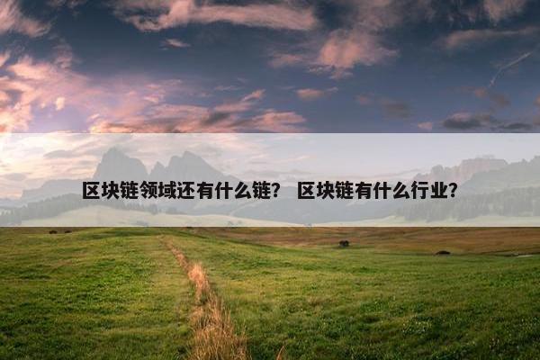 区块链领域还有什么链？ 区块链有什么行业？