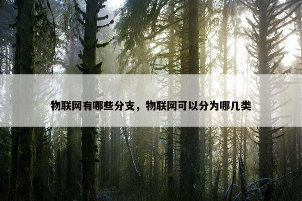 物联网有哪些分支，物联网可以分为哪几类