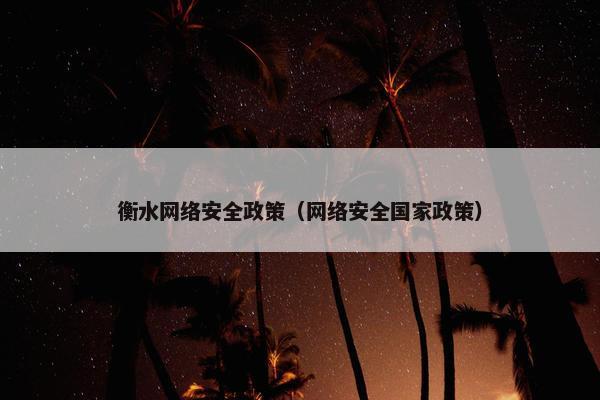 衡水网络安全政策（网络安全国家政策）