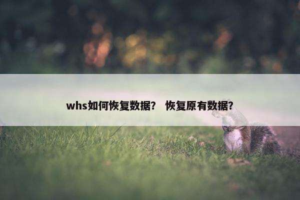 whs如何恢复数据？ 恢复原有数据？