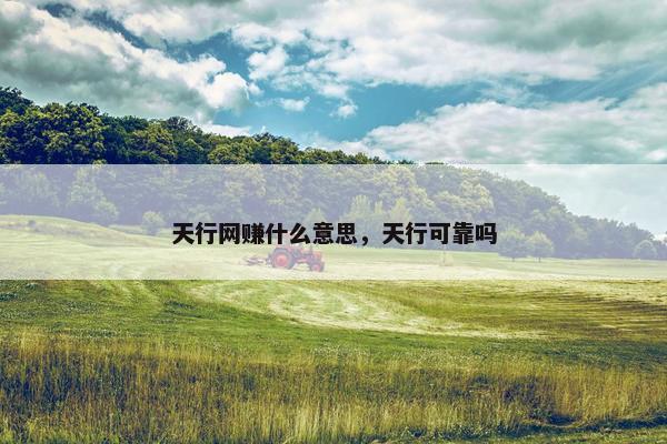 天行网赚什么意思，天行可靠吗