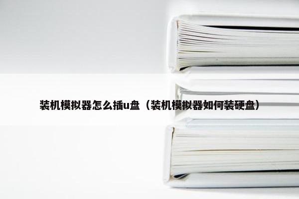 装机模拟器怎么插u盘（装机模拟器如何装硬盘）