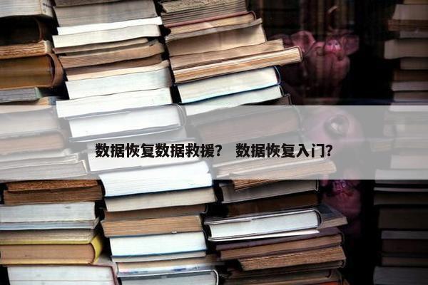 数据恢复数据救援？ 数据恢复入门？