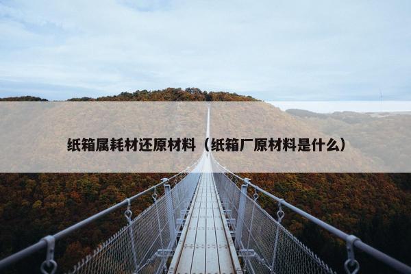纸箱属耗材还原材料（纸箱厂原材料是什么）