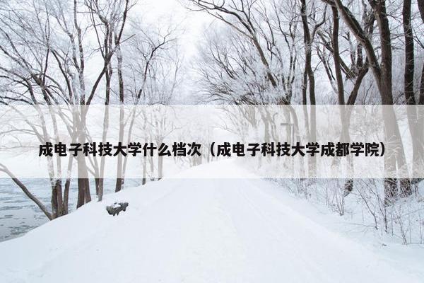 成电子科技大学什么档次（成电子科技大学成都学院）