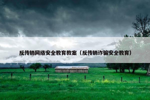 反传销网络安全教育教案（反传销诈骗安全教育）