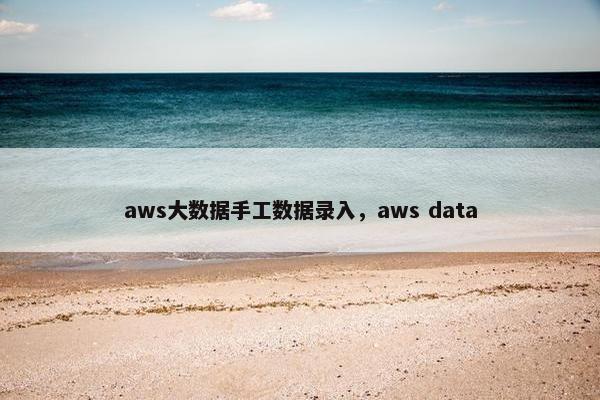 aws大数据手工数据录入，aws data