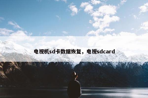 电视机sd卡数据恢复，电视sdcard