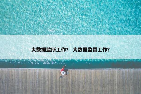 大数据监所工作？ 大数据监督工作？