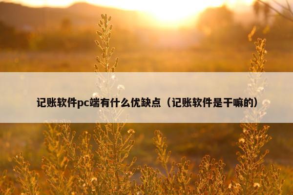 记账软件pc端有什么优缺点（记账软件是干嘛的）