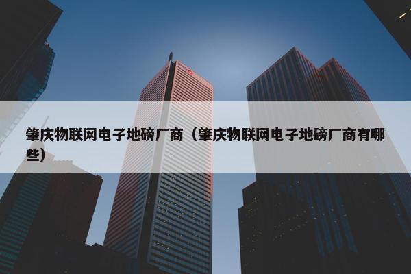 肇庆物联网电子地磅厂商（肇庆物联网电子地磅厂商有哪些）
