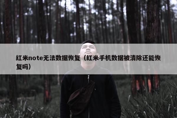 红米note无法数据恢复（红米手机数据被清除还能恢复吗）