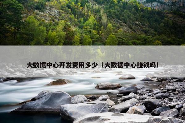 大数据中心开发费用多少（大数据中心赚钱吗）