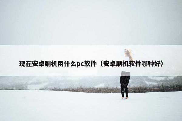 现在安卓刷机用什么pc软件（安卓刷机软件哪种好）