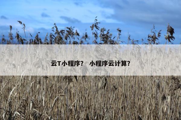 云T小程序？ 小程序云计算？