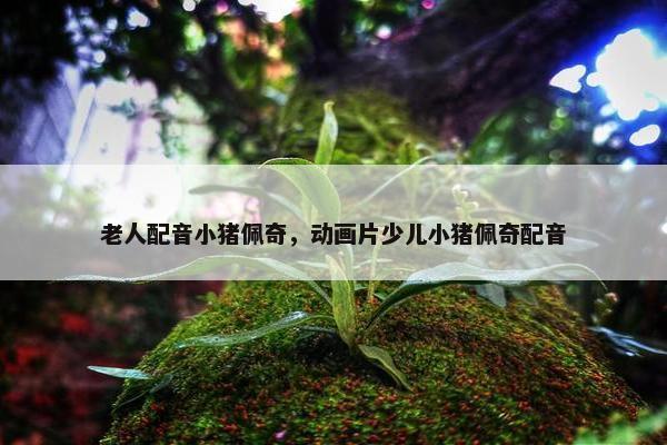 老人配音小猪佩奇，动画片少儿小猪佩奇配音