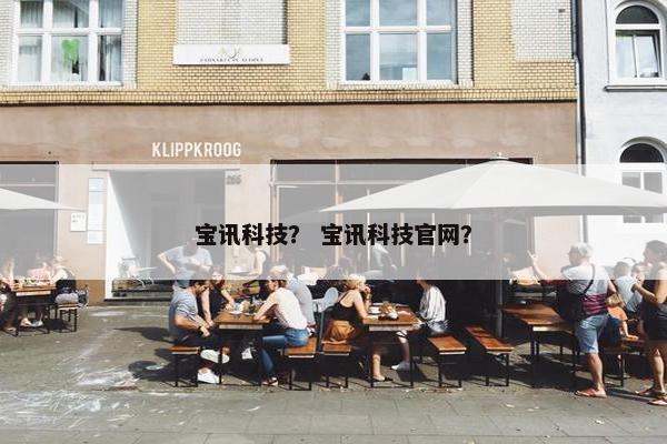 宝讯科技？ 宝讯科技官网？