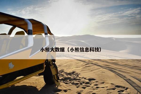 小熊大数据（小熊信息科技）