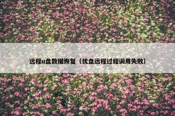 远程u盘数据恢复（优盘远程过程调用失败）