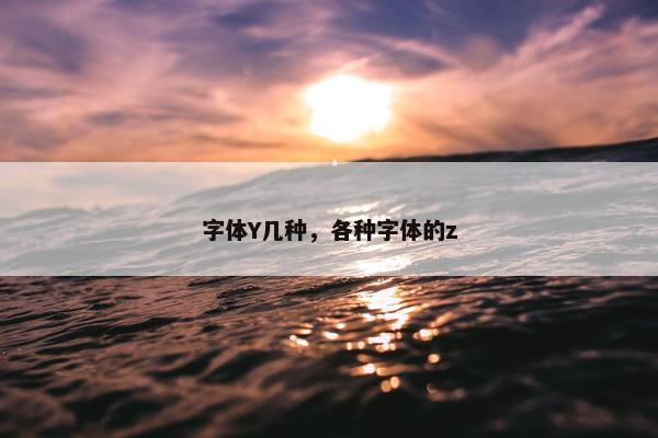字体Y几种，各种字体的z