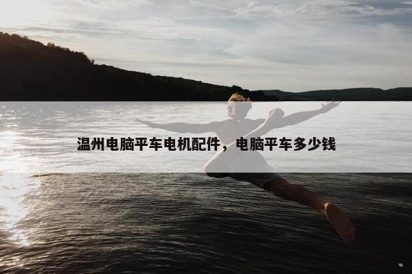 温州电脑平车电机配件，电脑平车多少钱
