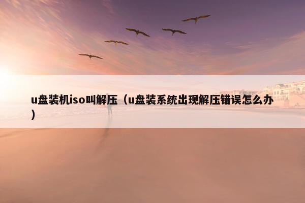 u盘装机iso叫解压（u盘装系统出现解压错误怎么办）