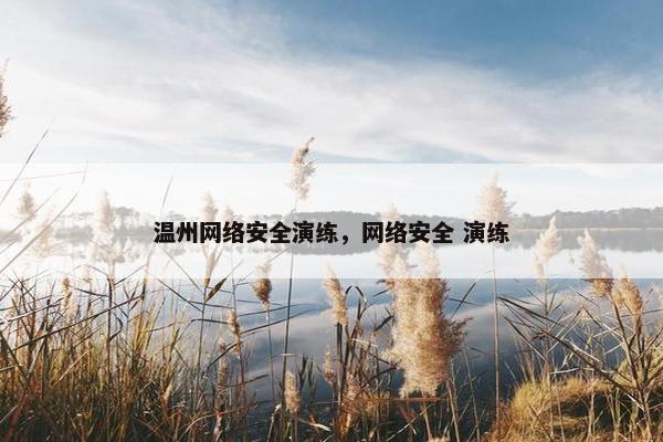 温州网络安全演练，网络安全 演练
