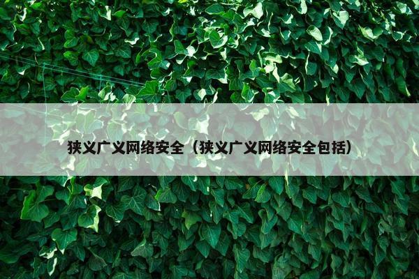 狭义广义网络安全（狭义广义网络安全包括）